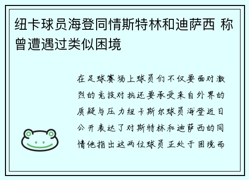 纽卡球员海登同情斯特林和迪萨西 称曾遭遇过类似困境